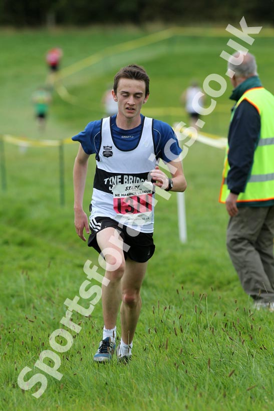 Red 1311, North-East Harriers League, Cramlington